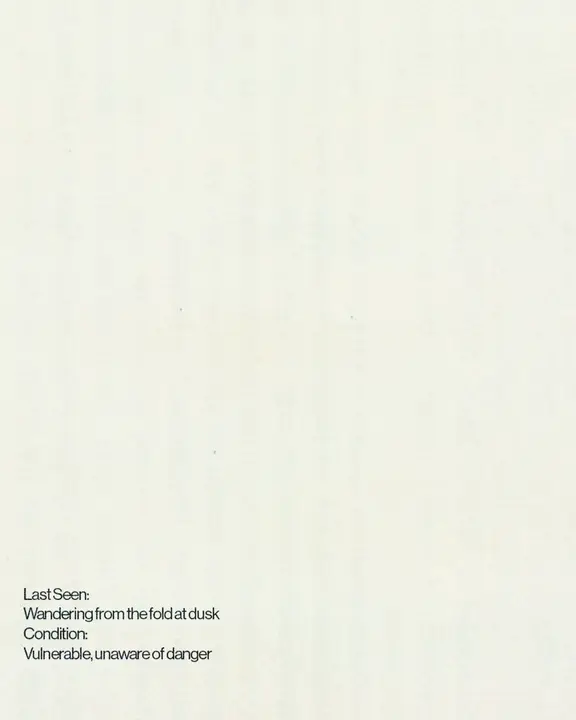 Lost and Found: social post · blank