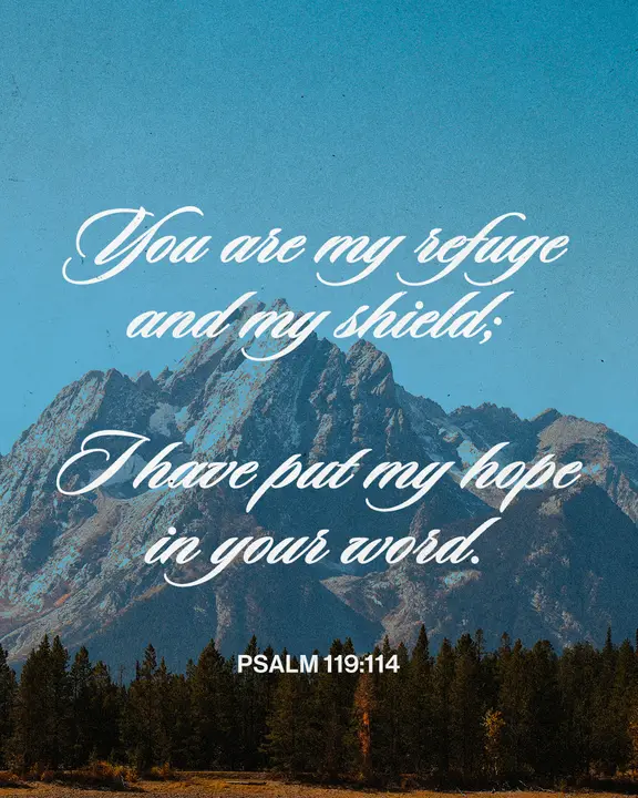 My Refuge and My Shield: social post