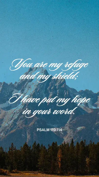 My Refuge and My Shield: story