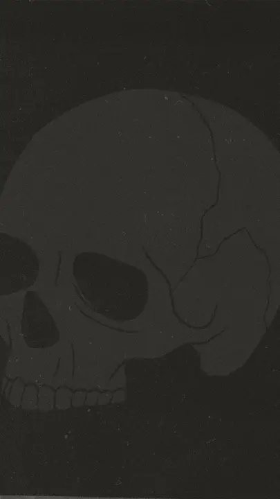 Death Could Not Hold Him: story · blank