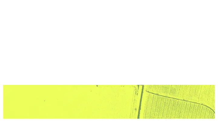 Vision Sunday: lower third · blank