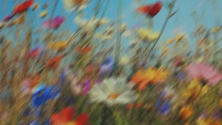 Easter: 4K slide · blank