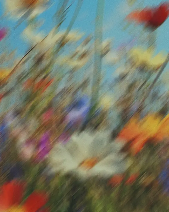 Easter: social post · blank