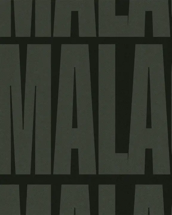 Malachi: social post · blank