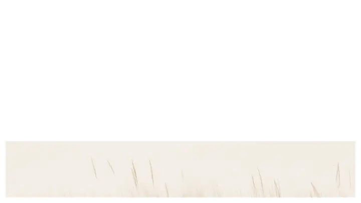 Miracles of Jesus: lower third · blank