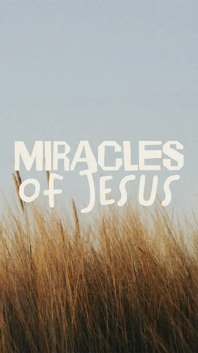 Miracles of Jesus: story